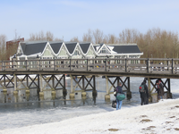 901336 Gezicht op de Japanse brug over de grote plas bij het Anafora Parkrestaurant (achtergrond, Uilenboslaan 1) in ...